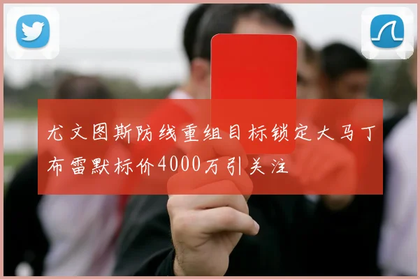 尤文图斯防线重组目标锁定大马丁布雷默标价4000万引关注