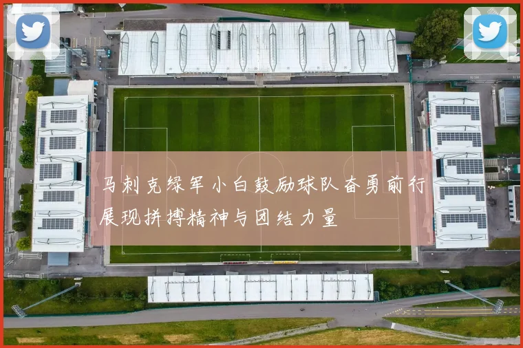 马刺克绿军小白鼓励球队奋勇前行展现拼搏精神与团结力量