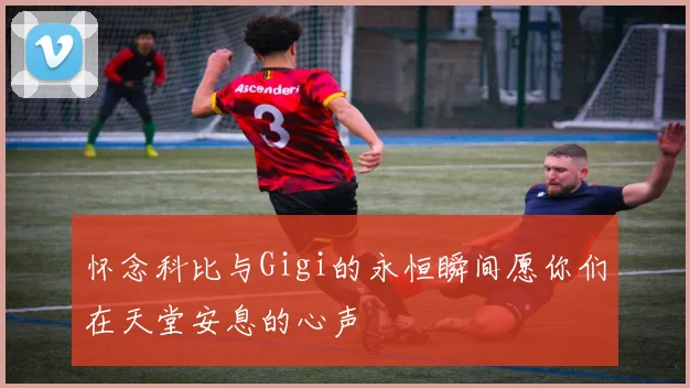 怀念科比与Gigi的永恒瞬间愿你们在天堂安息的心声